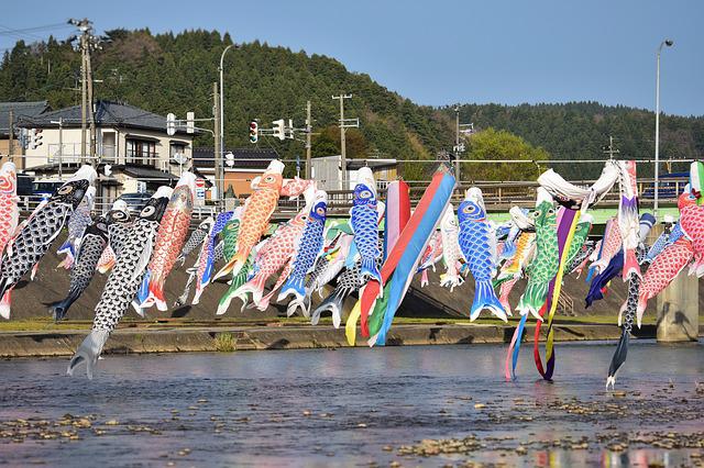 5. 地域による鯉のぼりの文化の違いについて